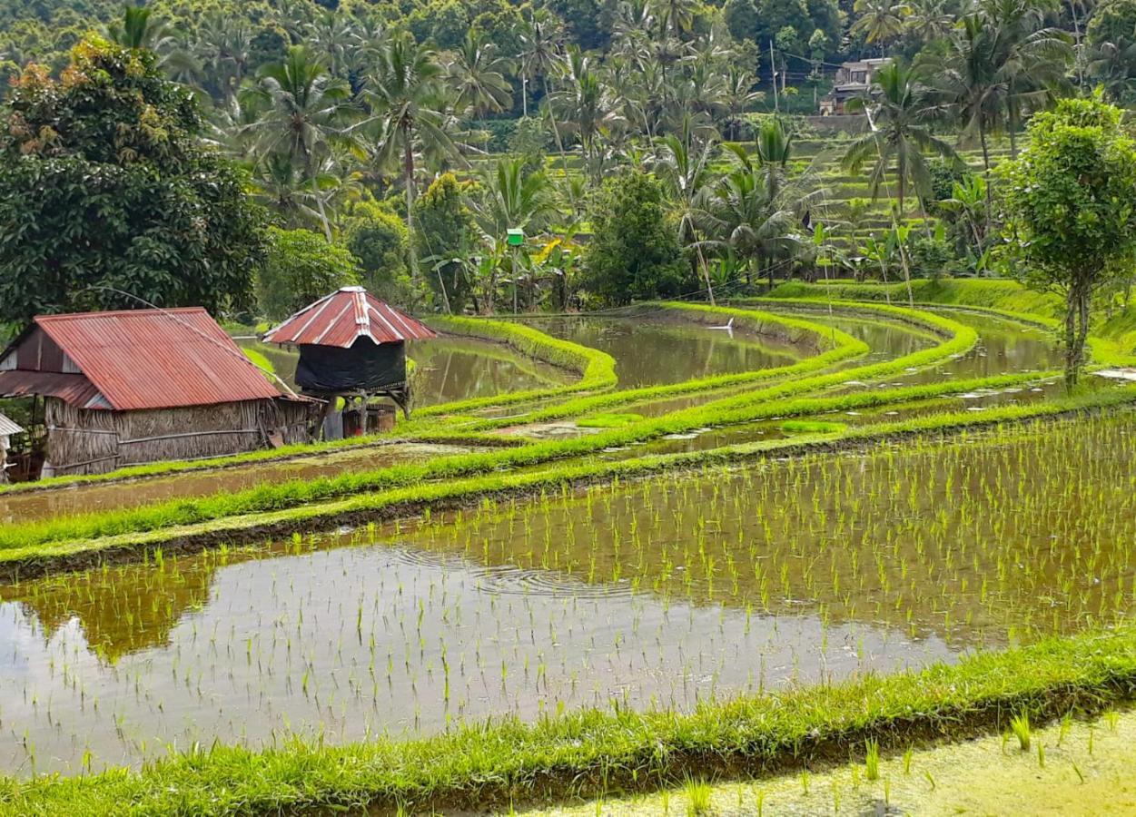 Bali Munduk Delux Bungalow Villa Сінгараджа Екстер'єр фото