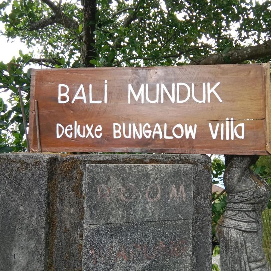 Bali Munduk Delux Bungalow Villa Сінгараджа Екстер'єр фото