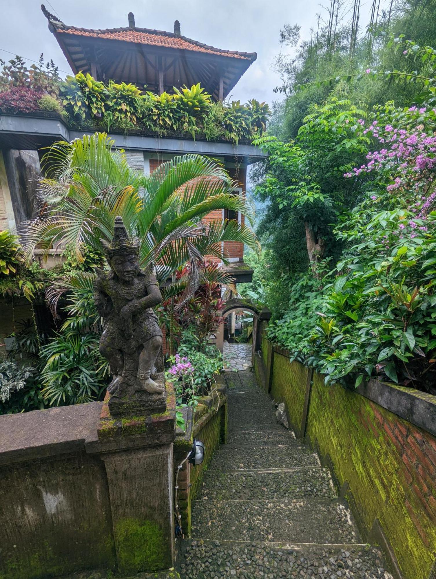 Bali Munduk Delux Bungalow Villa Сінгараджа Екстер'єр фото