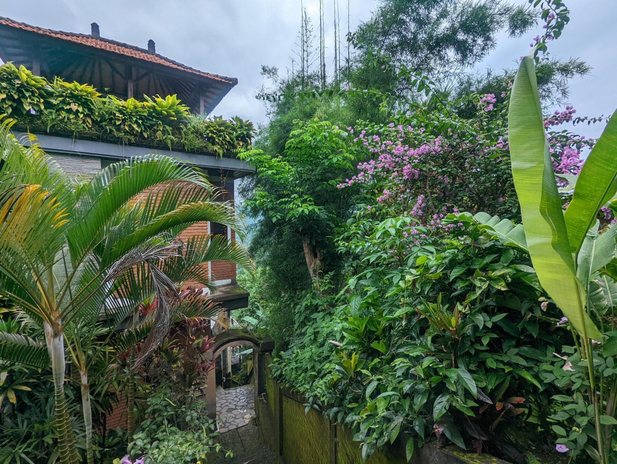 Bali Munduk Delux Bungalow Villa Сінгараджа Екстер'єр фото